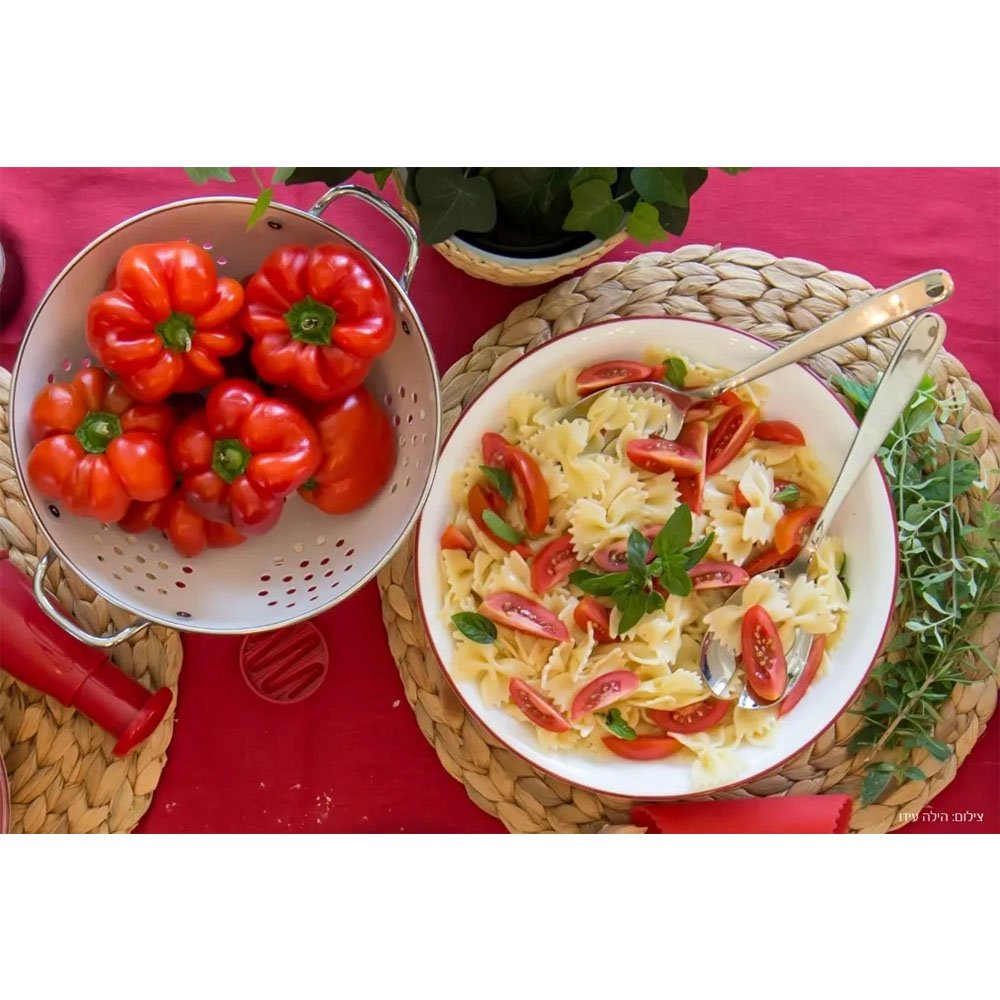 קערת סלט 1 ל', פס אדום CORELLE קורנינג